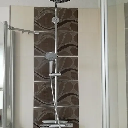 Auwald 라이프치히